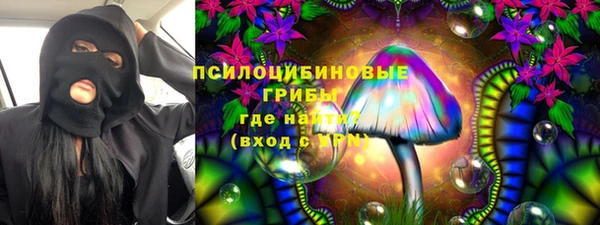 PSILOCYBIN Бородино